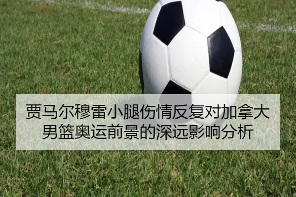 贾马尔穆雷小腿伤情反复对加拿大男篮奥运前景的深远影响分析